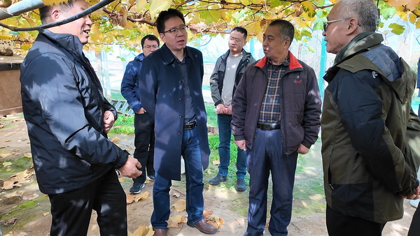 调研南沟社区葡萄产业1.jpg